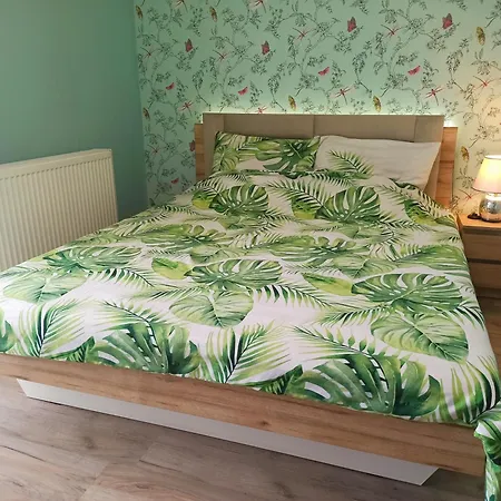 Dobra Nocka Homestay